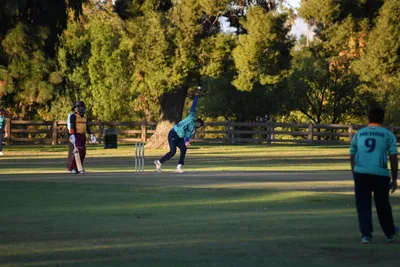 DSC_2399 (Large).JPG